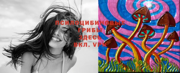 спайс Балахна
