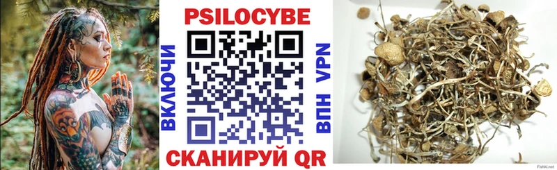 Купить где  Сердобск  Галлюциногенные грибы мицелий 